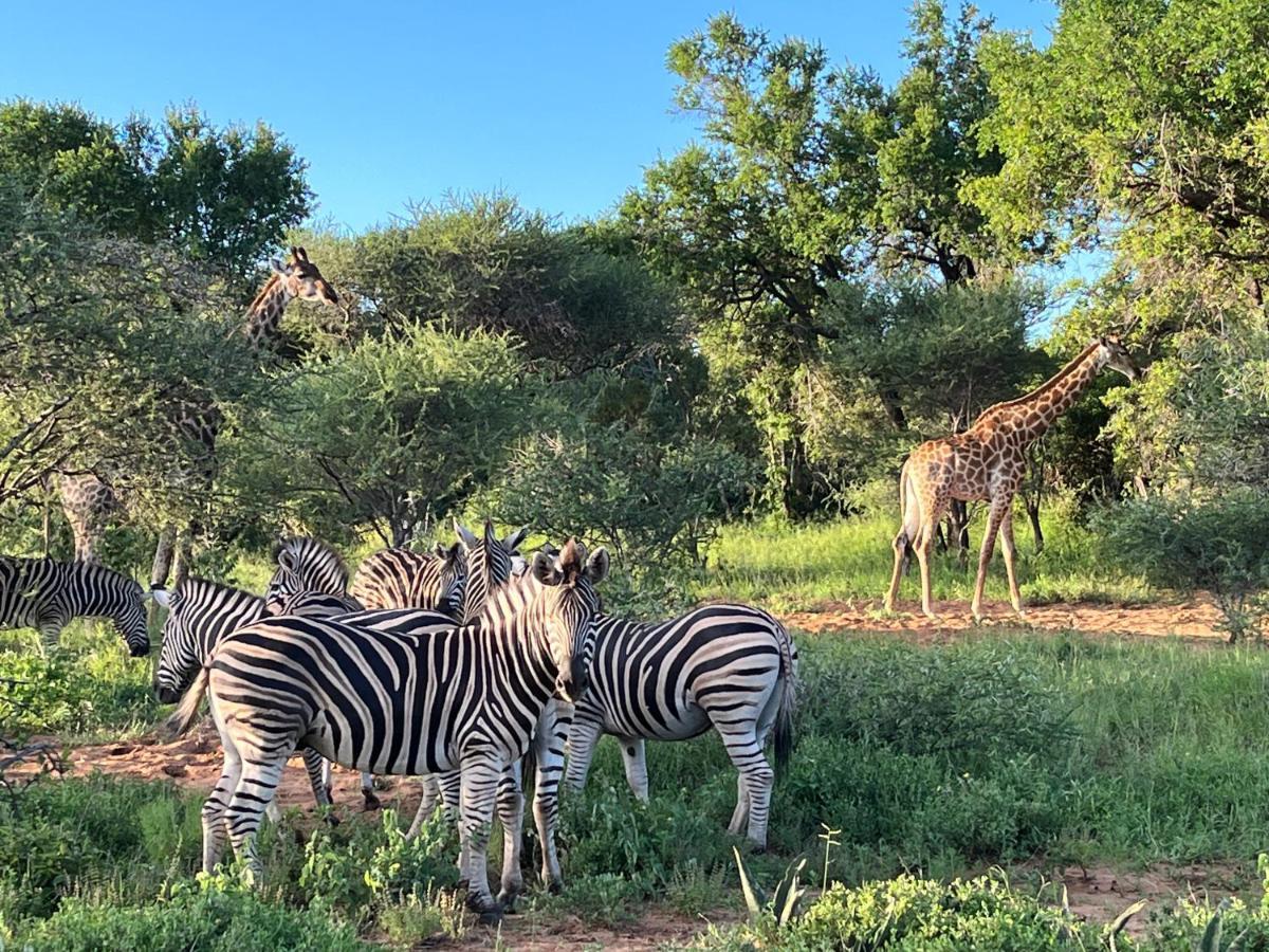 Lindiwe Safari Lodge Hoedspruit Dış mekan fotoğraf